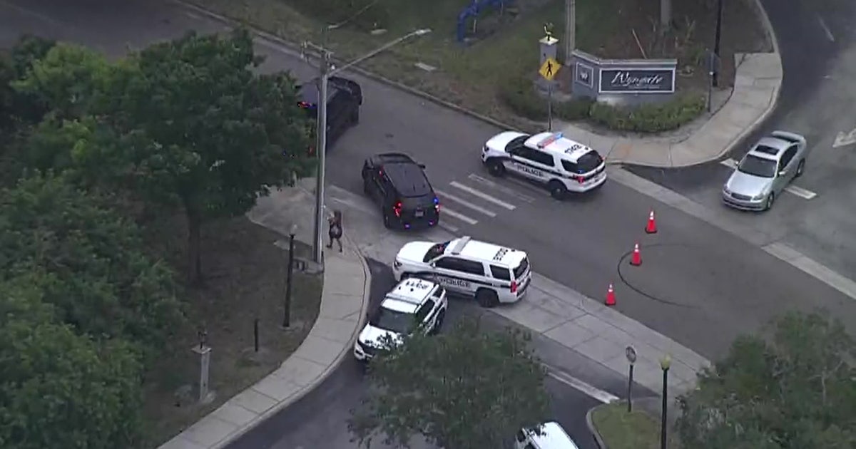 Pedestrian struck, killed in St. Pete, police say | FOX 13 Tampa Bay