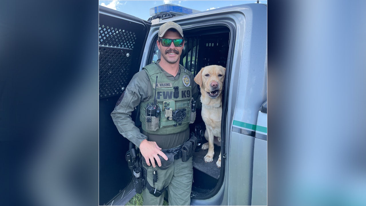Missing Florida hunter found by K-9 in Green Swamp | FOX 13 Tampa Bay
