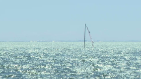 Sunken sailboat attracting attention in St. Pete, city unsure when it will be removed