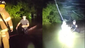 Video: Several people rescued from ‘rapidly rising’ water in Florida