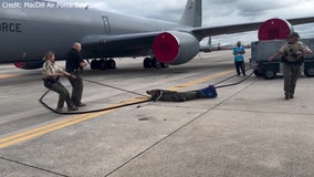 Alligator on MacDill Air Force Base runway caught on camera being wrangled by FWC officers