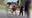 VIDEO: Barefoot Florida man wrangles 8-foot alligator