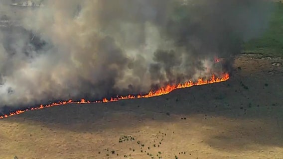 Brush fire in Mulberry, more than 1,000 acres impacted: PCFR