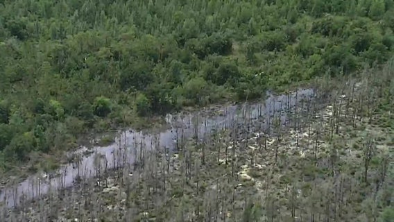 Lakeland homeowners relieved source of stench found, city to clean 1,000 gallon wastewater line spill
