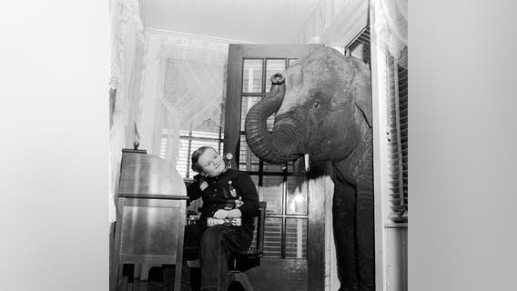 Why do we say 'spill the beans' and other expressions? Exploring the origins