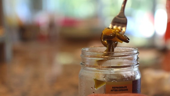 Bay Area company makes candied jalapeños in Lake Wales