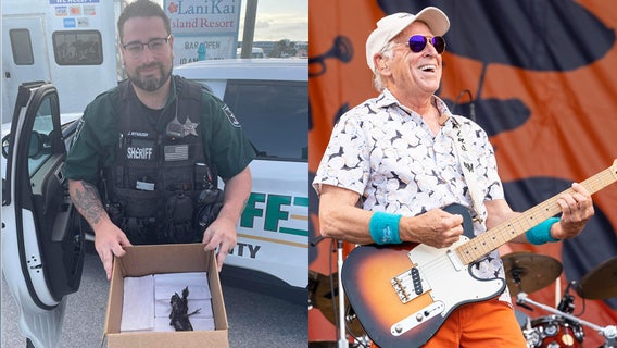‘Jimmy Buffett’ namesake rescued from Margaritaville in Florida