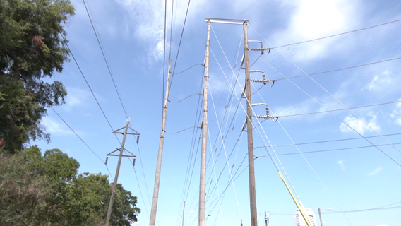 City of St. Petersburg sees 'jarring' number of applicants for utility bill relief