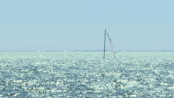 Sunken sailboat attracting attention in St. Pete, city unsure when it will be removed
