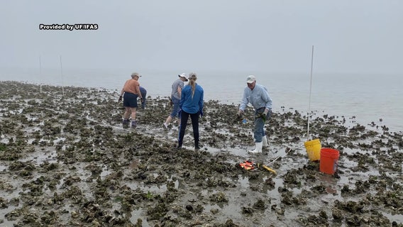 Research station sets out to study, preserve Florida’s natural ecosystems