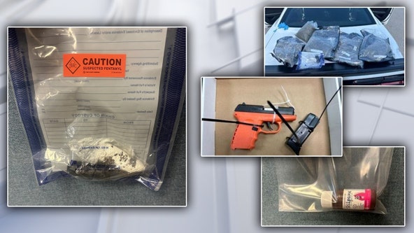 Temple Terrace man armed with a gun arrested after 2 hit-and-run crashes, fentanyl seized: Troopers
