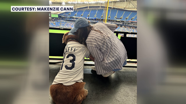 Tampa Bay Rays surprise fan on Dog Day at the Trop after TikTok got team's attention
