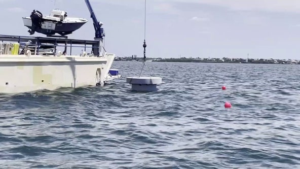 24 artificial reefs deployed to help health of Sarasota Bay
