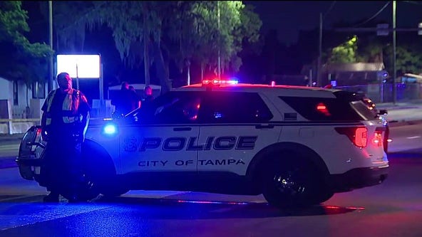 Moped driver killed in hit-and-run in Tampa