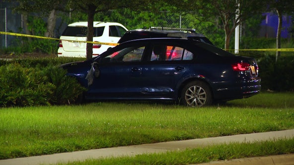 Pedestrian killed in Tampa crash on Busch Boulevard