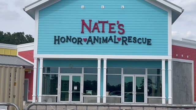 Manatee County animal shelter in need of donations after taking in dogs from third hoarding case