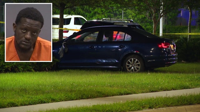 Man arrested in fatal hit-and-run on Busch Boulevard in Tampa