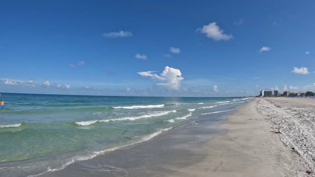 Treasure Island officials working to protect against rising sea levels: 'Better to focus on it now'