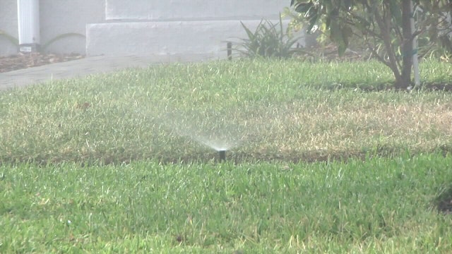 Tampa officials continue urging residents to conserve water: 'We need clean water'