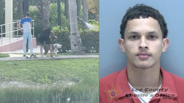 'It's cruel, it's abuse:' Florida sheriff posts video online showing man beating dog