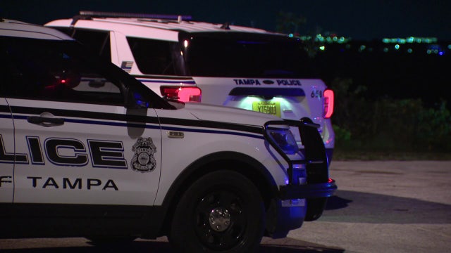 Tampa police investigating after woman's body found in mangroves