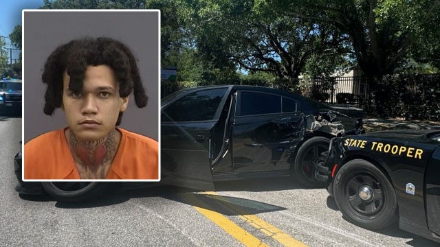 Driver goes over 147 mph after evading traffic stop in Tampa, K9 finds suspect hiding in garbage can: FHP