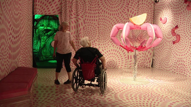 Interactive and immersive art at St. Petersburg museum: 'Such a unique experience'