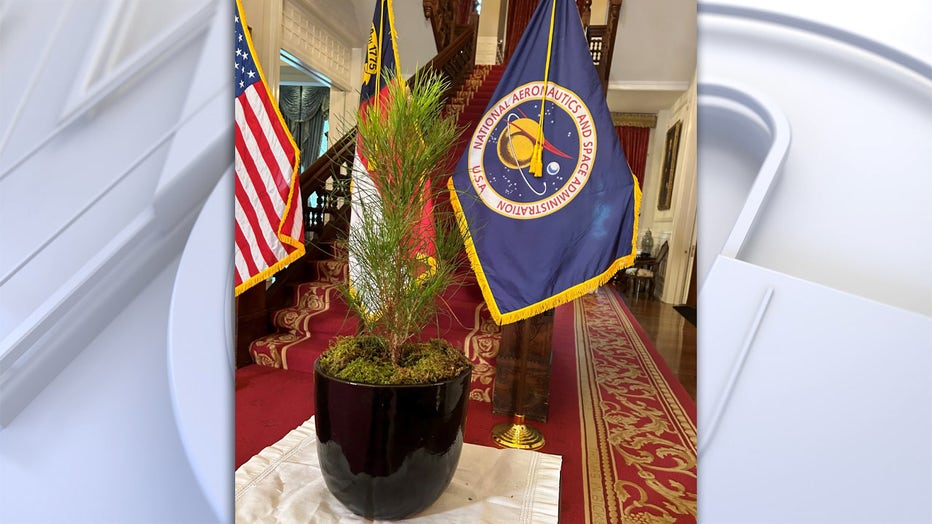 nasa moon tree from artemis one in governor mansion north carolina