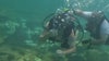 Family owned Clearwater dive shop offers scuba diving lessons
