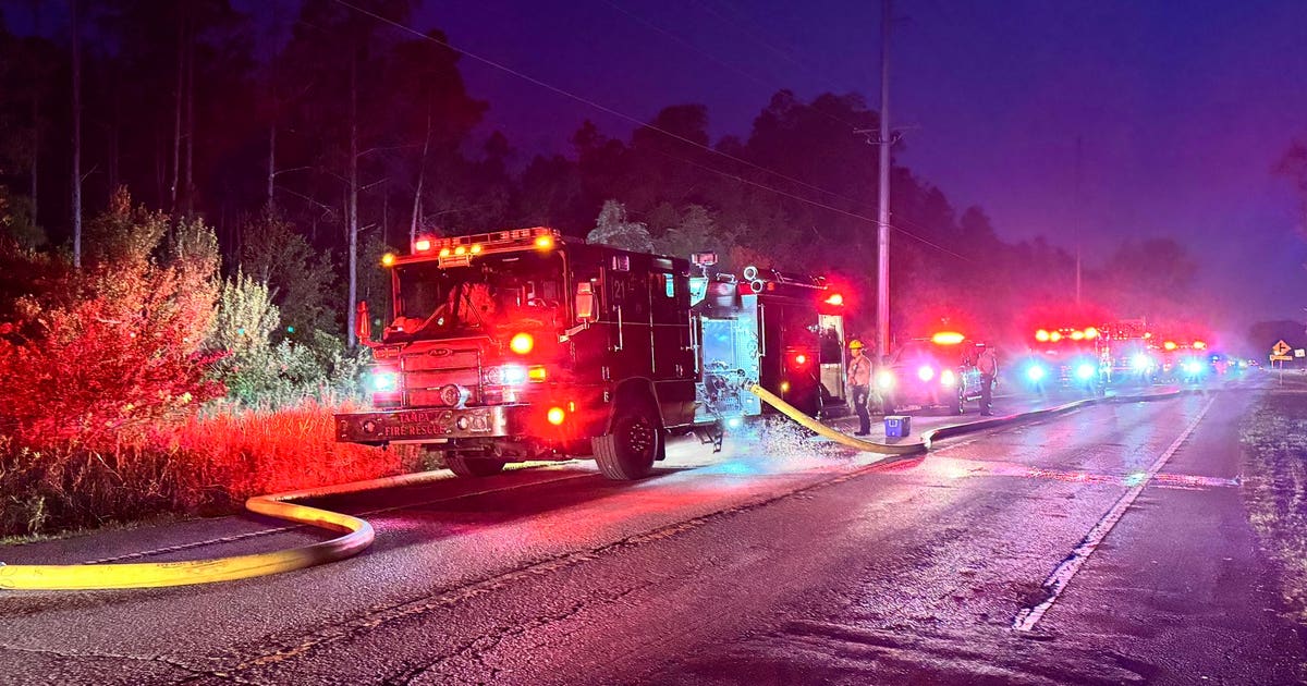 Crews put out brush fire near Morris Bridge Road in Tampa | FOX 13 ...