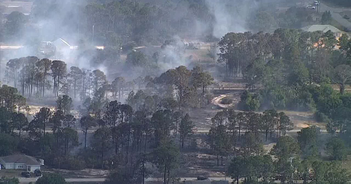 Homes evacuated as crews battle brush fire in Highlands County | FOX 13 ...