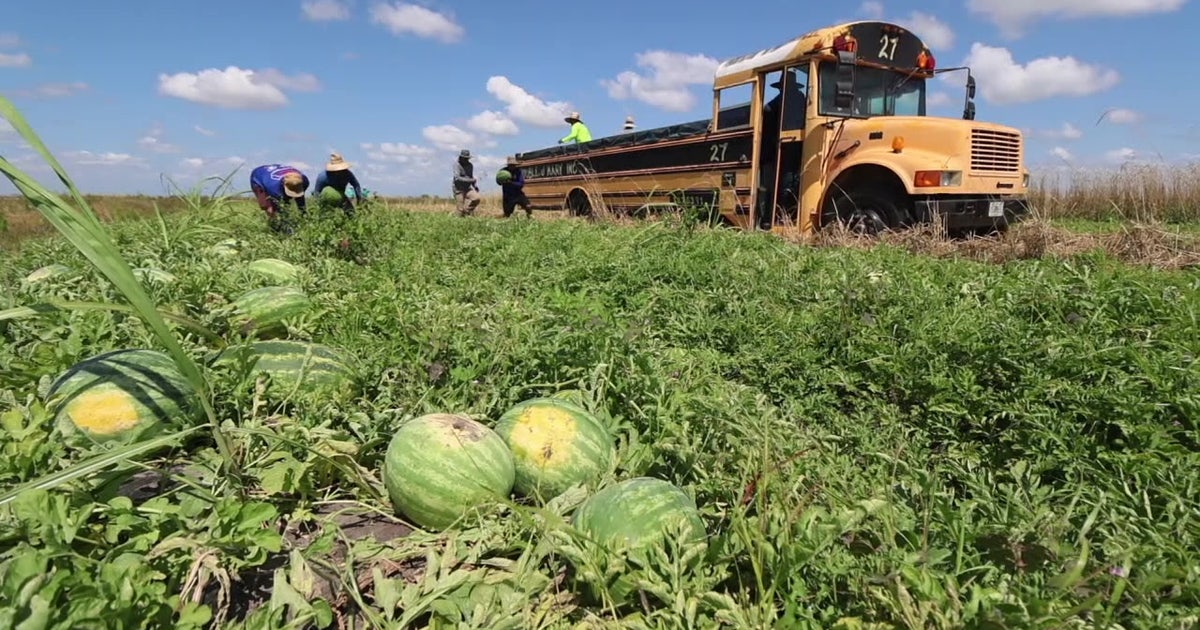 Multi-generation farm supplies watermelon to Florida | FOX 13