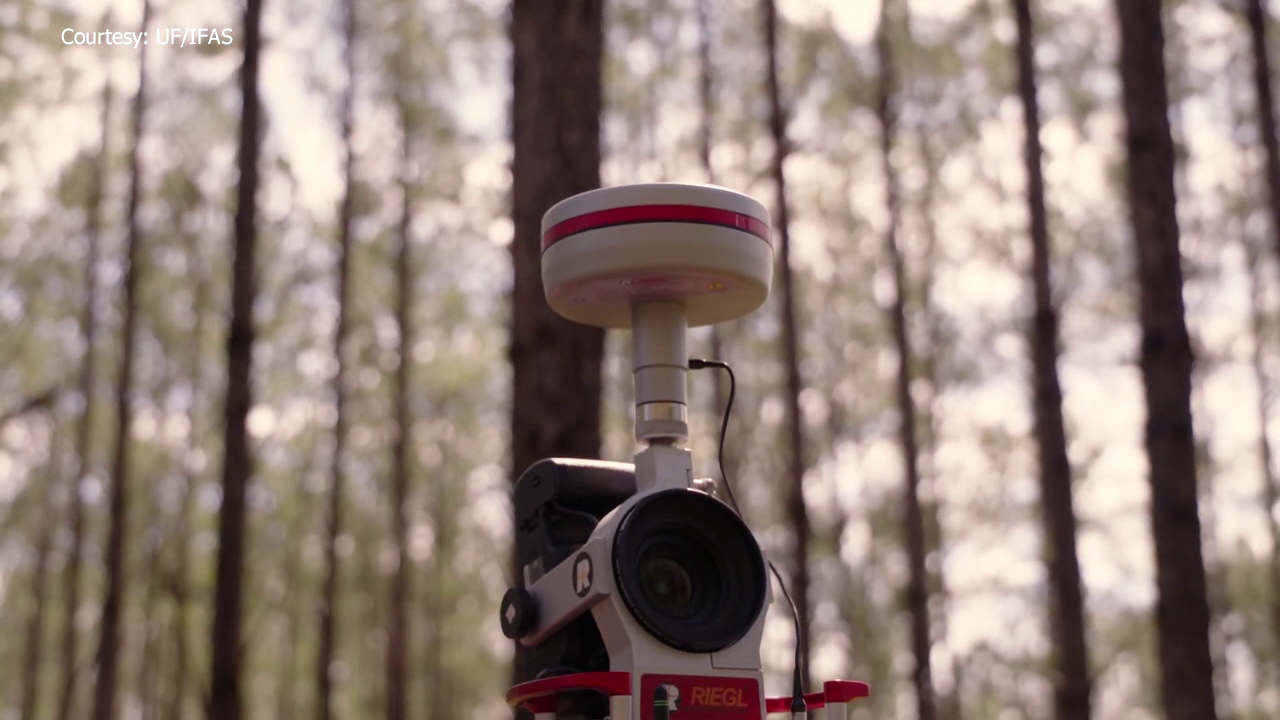 Utilizing AI Technology and Lasers to Assess Hurricane-Induced Forest Damage