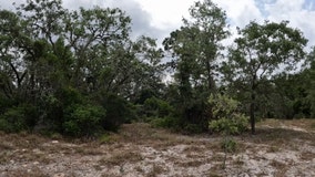 Non-profit trying to preserve 14-acres of Tarpon Springs land endangered species call home
