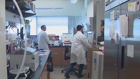 UCF collaborates on breakthrough in fighting cancer