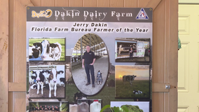 Dakin Dairy Farms to remain in the family with nephews