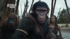 Tampa native Owen Teague stars in new "Planet of the Apes" movie