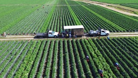 The negative affects of storms on the Bay Area's farmland explained