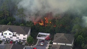 Port Richey brush fire under control after coming dangerously close to homes