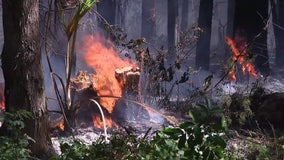 Pasco County issues burn ban as dry weather continues