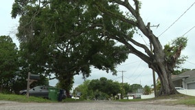 80 years later: A look back at the fiery emergency plane landing on West Tampa street