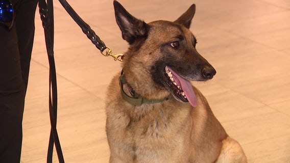 TPA welcomes new canine to its K-9 bomb squad ahead of busy summer travel season