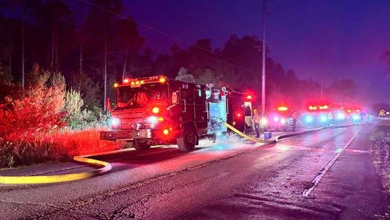 Crews put out brush fire near Morris Bridge Road in Tampa