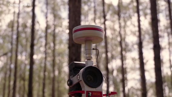 AI technology, lasers helping measure damage to forests caused by hurricanes