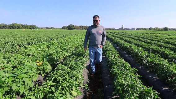 Parkesdale Farms experiments with new crops and has no plan to sell out: ‘We’re not going anywhere’