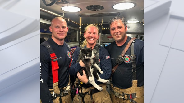 Florida firefighters rescue cat trapped in burning home
