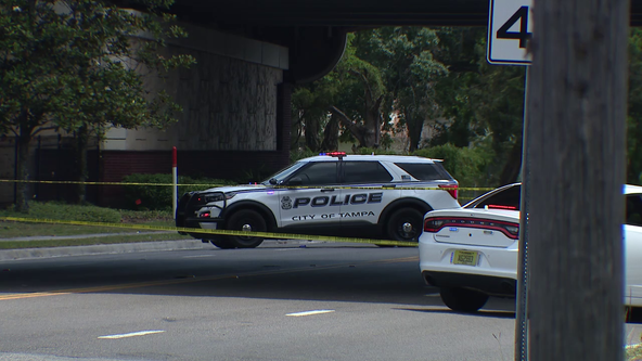 Tampa police investigating man's death after body found in road