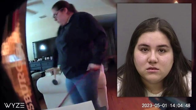 Tampa woman sentenced to 5 years in prison for beating dog with rubber mallet