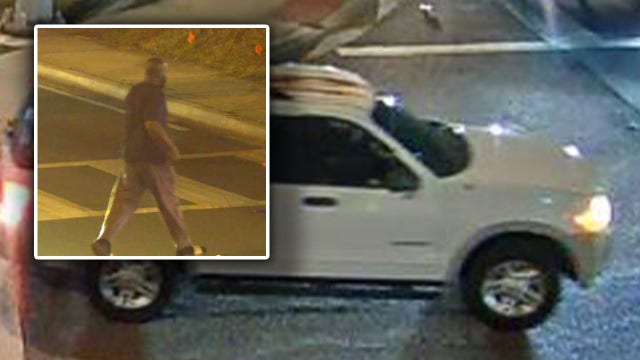 Hillsborough County deputies searching for suspected hit-and-run driver