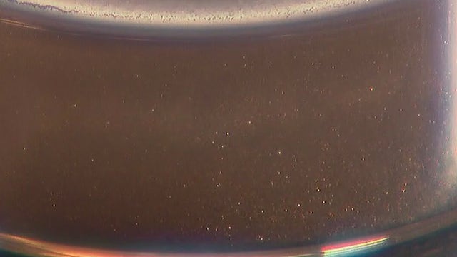 UCF develops fadeproof paint